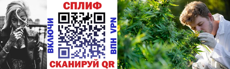 MEGA вход  купить наркотик  Чусовой  Шишки марихуана гибрид 